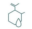 Vegan Collagen + Ceramide Complex